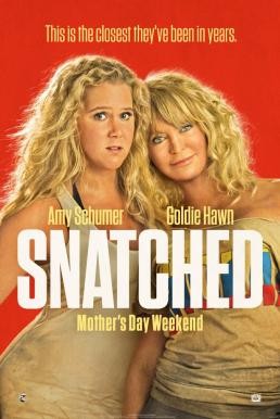 Snatched แม่...ลูก...ลุย (2017)