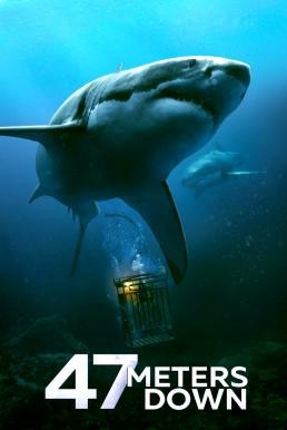 47 Meters Down 47 ดิ่งลึกเฉียดนรก (2017)