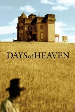 Days of Heaven สวรรค์ต้องพราก (1978) บรรยายไทย - ดูหนังออนไลน