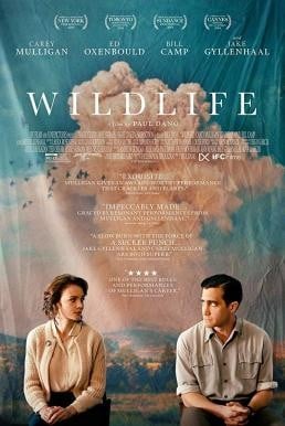 Wildlife รัก เรา ร้าว ร้าง (2018)