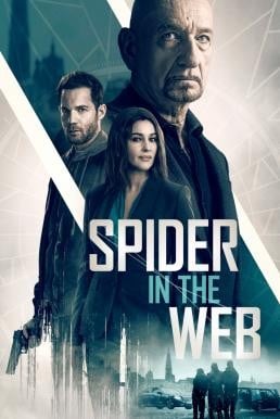 Spider in the Web (2019)