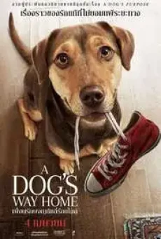 A Dog’s Way Home (2019) เพื่อนรักผจญภัยสี่ร้อยไมล์ - ดูหนังออนไลน