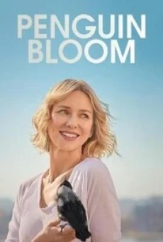 Penguin Bloom เพนกวิน บลูม (2020) NETFLIX บรรยายไทย - ดูหนังออนไลน