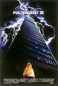 Poltergeist 3: กระจกข้ามมิติ ผีหลอกวิญญาณหลอน (1988) - ดูหนังออนไลน