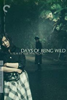 Days Of Being Wild วันที่หัวใจรักกล้าตัดขอบฟ้า - ดูหนังออนไลน