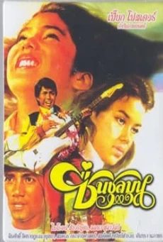 ชื่นชุลมุน Chuen Chulamun (1978) - ดูหนังออนไลน