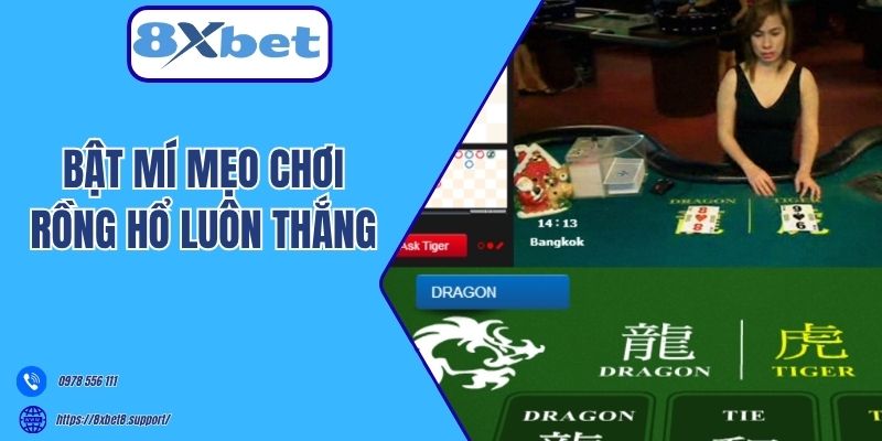 Bật mí mẹo chơi Rồng Hổ luôn thắng