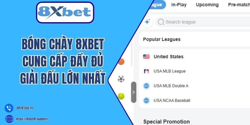 Bóng chày 8xbet cung cấp đầy đủ giải đấu lớn nhất