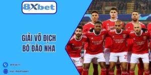 Giải vô địch Bồ Đào Nha