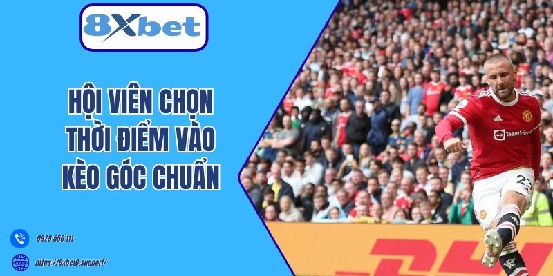 Hội viên chọn thời điểm vào kèo góc chuẩn