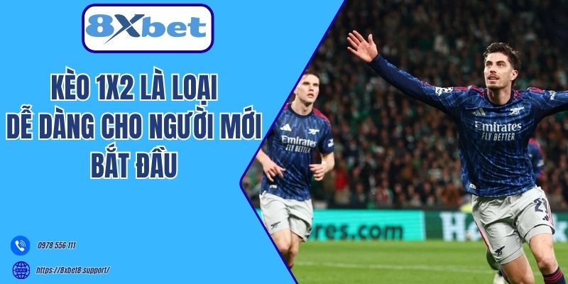 Kèo 1X2 là loại dễ dàng cho người chơi mới bắt đầu