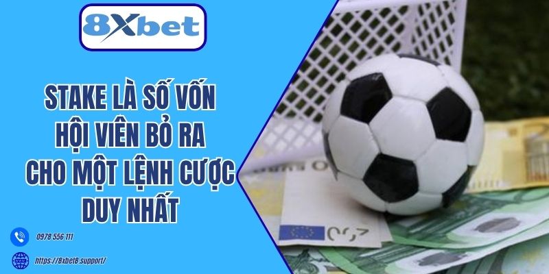 Stake là số vốn hội viên bỏ ra cho một lệnh cược duy nhất