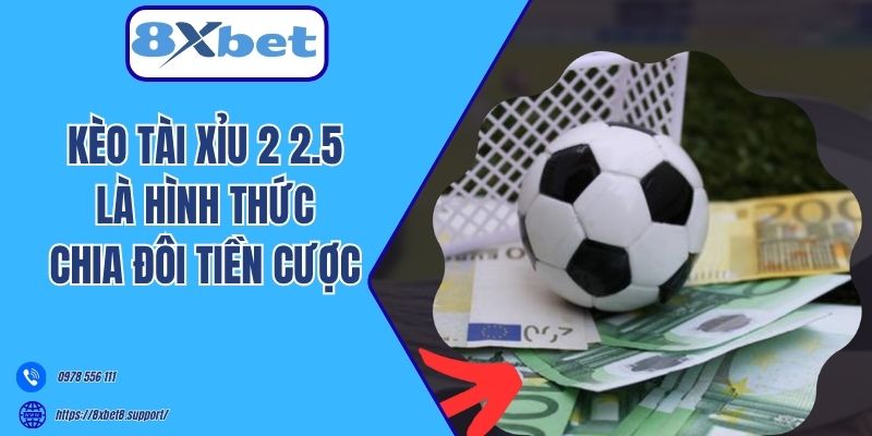 Kèo Tài Xỉu 2 2.5 là hình thức chia đôi tiền cược