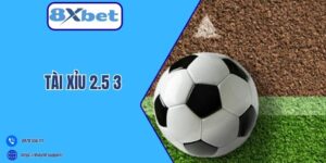 Tài Xỉu 2.5 3