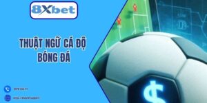 thuật ngữ cá độ bóng đá