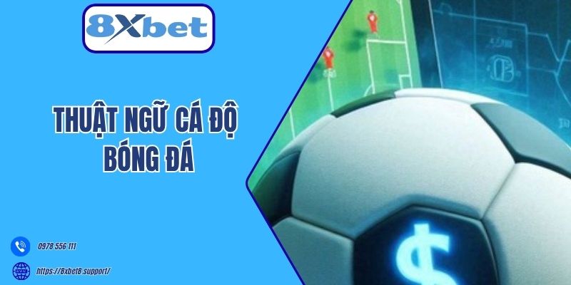 thuật ngữ cá độ bóng đá