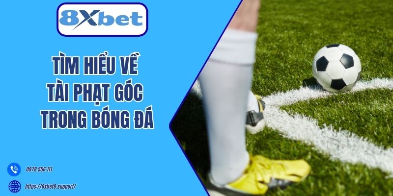 Tìm hiểu về tài phạt góc trong bóng đá